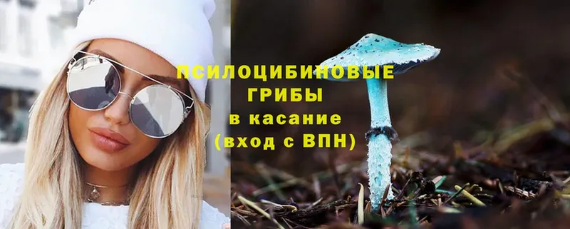 хочу наркоту  Рославль  Псилоцибиновые грибы Psilocybine cubensis 